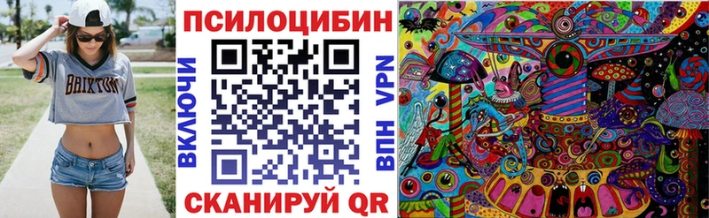 Купить где  Мамоново  Галлюциногенные грибы Psilocybine cubensis 